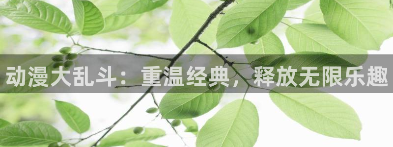 里番工口本子漫画：动漫大乱斗：重温经典，释放无限乐趣