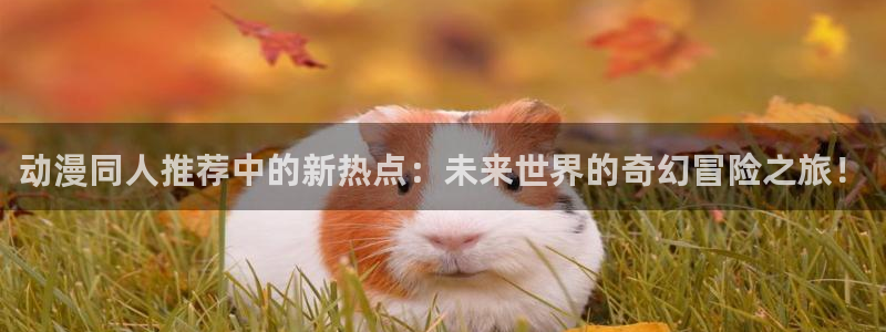 里番动画app：动漫同人推荐中的新热点：未来世界的奇幻冒险之旅！