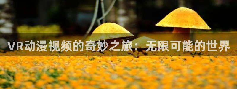 少女里番漫画：VR动漫视频的奇妙之旅：无限可能的世界