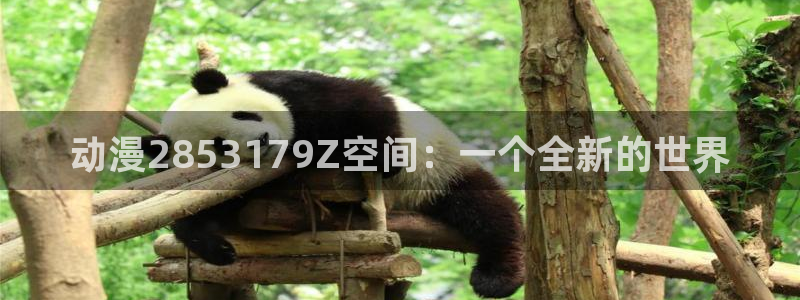 工口全彩里番漫画：动漫2853179Z空间：一个全新的世界
