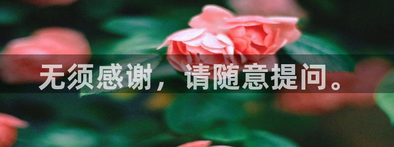 里番风车动漫：无须感谢，请随意提问。