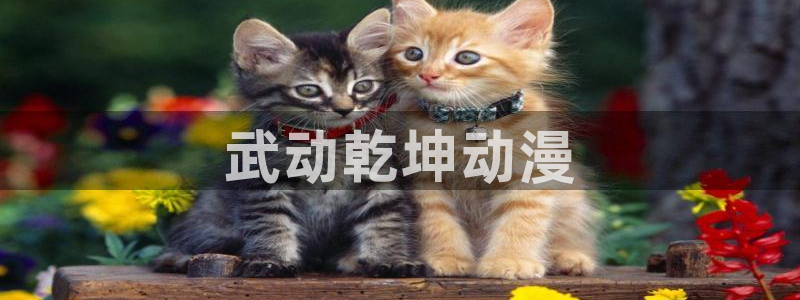 m 里番漫画：武动乾坤动漫