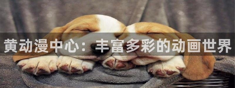 少女漫画里番：黄动漫中心：丰富多彩的动画世界