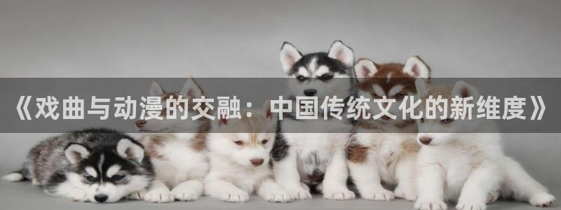 动漫里番：《戏曲与动漫的交融：中国传统文化的新维度》